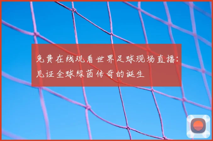 免费在线观看世界足球现场直播：见证全球绿茵传奇的诞生