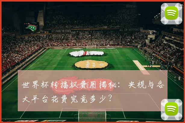 世界杯转播权费用揭秘:央视与各大平台花费究竟多少?