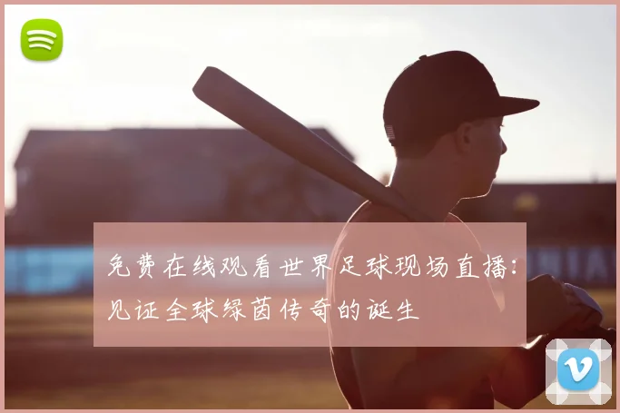 免费在线观看世界足球现场直播：见证全球绿茵传奇的诞生